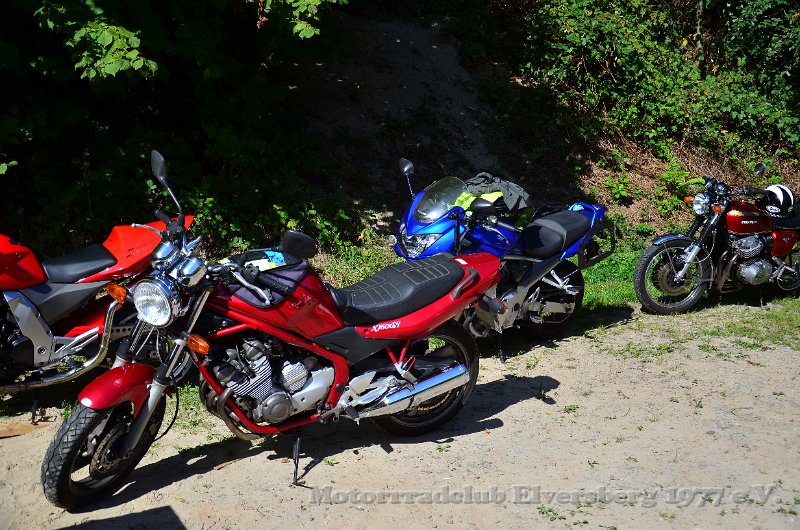 Schwarzwald 2021 - 052